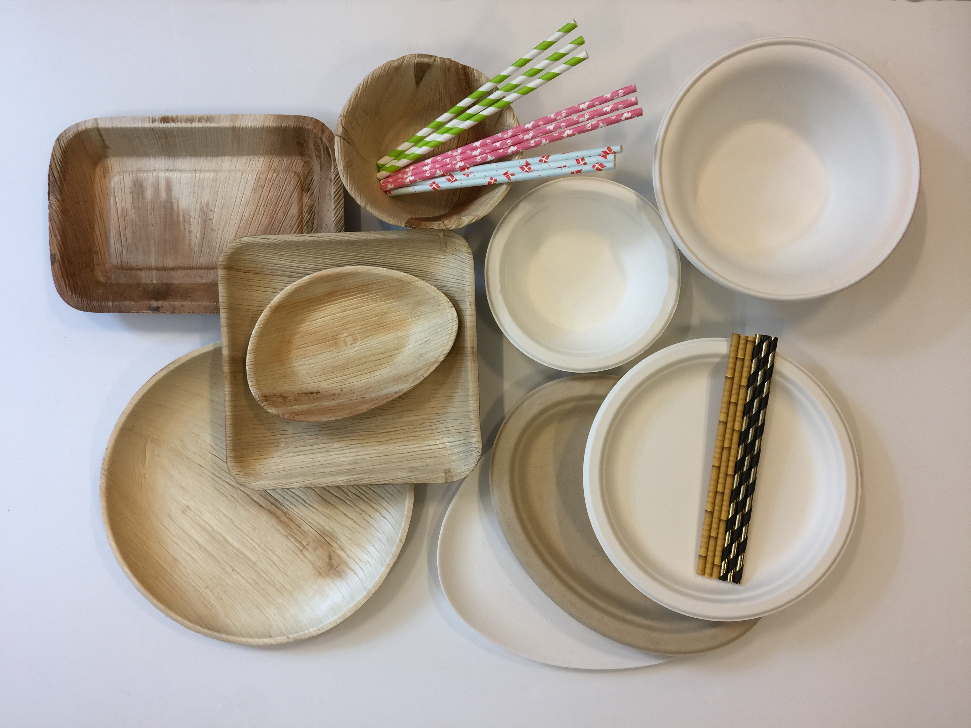 Disposable food packaging